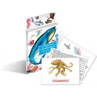 Дидактические карточки "Морские обитатели"