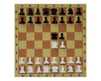 Демонстрационная ламинированная складная доска 82 см + комплект магнитных шахматных фигур